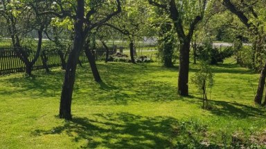 Prodej pěkné chalupy v obci Jasenná okres Náchod