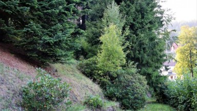 Prodej okouzlující vily  přímo na Horní Promenádě v centru Janských Lázní 