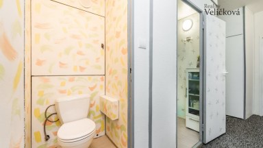 Prodej krásného bytu 3+1 s balkonem a klimatizací v Hradci Králové- Moravské Předměstí