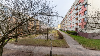 Prodej prostorného bytu 2+1 v Hradci Králové v ulici Formánkova (Moravské Př.)