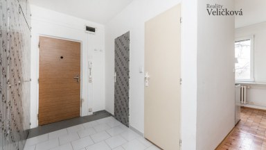 Prodej prostorného bytu 2+1 v Hradci Králové v ulici Formánkova (Moravské Př.)