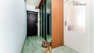 Prodej krásného bytu 3+1, 80 m2, ul. Brožíkova, Hradec Králové – Moravské Předměstí