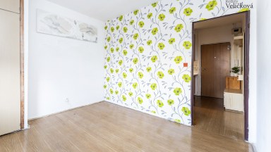 Prodej družstevního bytu 2+kk v Hradci Králové - Pod Zámečkem