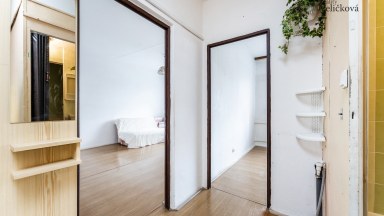 Prodej družstevního bytu 2+kk v Hradci Králové - Pod Zámečkem