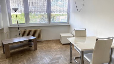 Pronájem pěkného slunného bytu 1+1 v Hradci Králové - Mrštíkova
