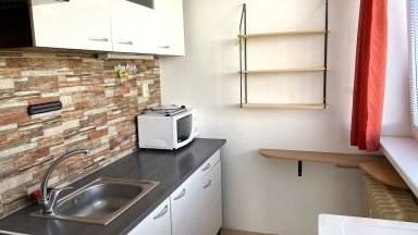 Pronájem pěkného slunného bytu 1+1 v Hradci Králové - Mrštíkova