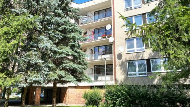 Pronájem pěkného slunného bytu 1+1 v Hradci Králové - Mrštíkova