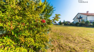 Exkluzivně nabízíme krásný stavební pozemek v obci Býšť