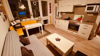 Pronájem bytu 1+kk se zasklenou lodžií v ulici Třebechovická na Slezském Předměstí 