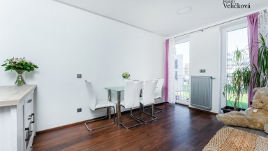 Pronájem krásného, vybaveného  bytu 2+kk v ulici A. Petrofa
