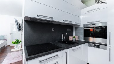 Pronájem krásného, vybaveného  bytu 2+kk v ulici A. Petrofa