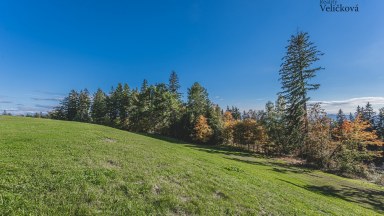  Apartmán 1+kk se spacím koutem a předzahrádkou v novostavbě - Zlatá vyhlídka v Jánských Lázních
