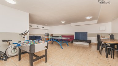  Apartmán 1+kk se spacím koutem a předzahrádkou v novostavbě - Zlatá vyhlídka v Jánských Lázních