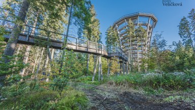  Apartmán 1+kk se spacím koutem a předzahrádkou v novostavbě - Zlatá vyhlídka v Jánských Lázních