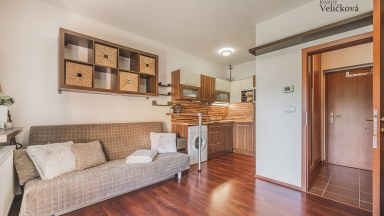  Apartmán 1+kk se spacím koutem a předzahrádkou v novostavbě - Zlatá vyhlídka v Jánských Lázních