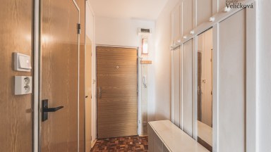 Prodej pěkného bytu 1+kk v Hradci Králové - ulice Brožíkova (Moravské Předměstí)