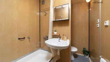 Prodej bytu 1+kk s balkonem v ulici Brožíkova