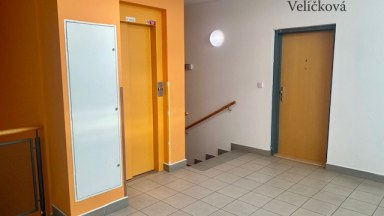 Pronájem prostorného bytu  1+1 s terasou v novostavbě v Hradci Králové - Labská Louka