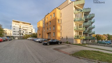 Pronájem prostorného bytu  1+1 s terasou v novostavbě v Hradci Králové - Labská Louka