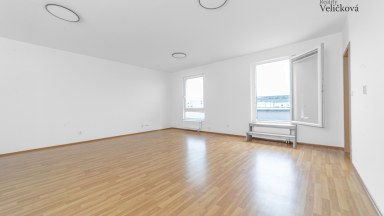 Pronájem prostorného bytu  1+1 s terasou v novostavbě v Hradci Králové - Labská Louka