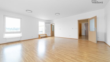 Pronájem prostorného bytu  1+1 s terasou v novostavbě v Hradci Králové - Labská Louka