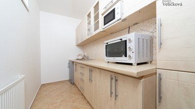 Pronájem prostorného bytu  1+1 s terasou v novostavbě v Hradci Králové - Labská Louka