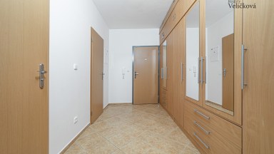 Pronájem prostorného bytu  1+1 s terasou v novostavbě v Hradci Králové - Labská Louka