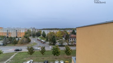 Pronájem prostorného bytu  1+1 s terasou v novostavbě v Hradci Králové - Labská Louka