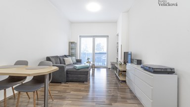 Prodej krásného bytu 1+kk se zahradou v Pardubicích - Pod Vinicí Zelené Předměstí