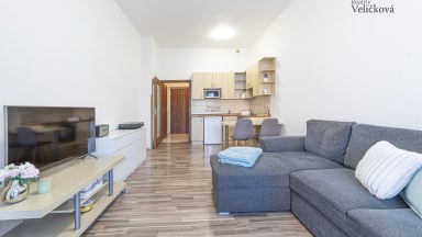 Prodej krásného bytu 1+kk se zahradou v Pardubicích - Pod Vinicí Zelené Předměstí