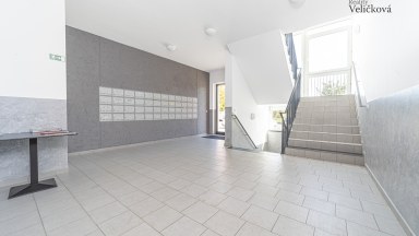 Prodej krásného bytu 1+kk se zahradou v Pardubicích - Pod Vinicí Zelené Předměstí