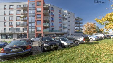 Prodej krásného bytu 1+kk se zahradou v Pardubicích - Pod Vinicí Zelené Předměstí