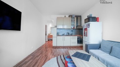 Prodej bytu 2+kk s lodžií na Moravském Předměstí v ulici Jana Masaryka