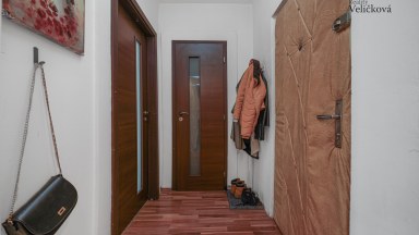 Prodej bytu 2+kk s lodžií na Moravském Předměstí v ulici Jana Masaryka