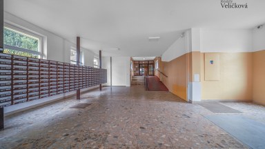 Prodej bytu 2+kk s lodžií na Moravském Předměstí v ulici Jana Masaryka