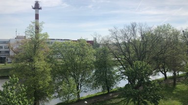 Pronájem kompletně zrekonstruovaného slunného bytu 1+KK v Hradci Králové 