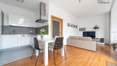 Prodej jedinečného bytu 1+kk s terasou v novostavbě na Labském Palouku v Pardubicích