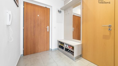 Prodej jedinečného bytu 1+kk s terasou v novostavbě na Labském Palouku v Pardubicích