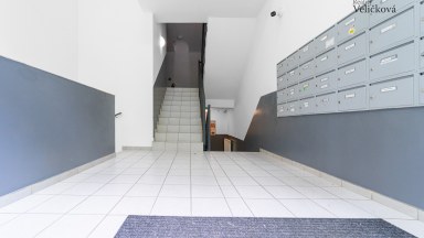 Prodej jedinečného bytu 1+kk s terasou v novostavbě na Labském Palouku v Pardubicích