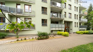 Prodej jedinečného bytu 1+kk s terasou v novostavbě na Labském Palouku v Pardubicích