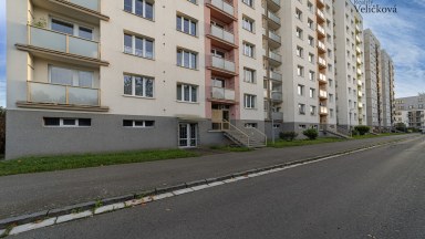 Pronájem krásného bytu po rekonstrukci 2+kk v Hradci Králové - v ulici Durychova