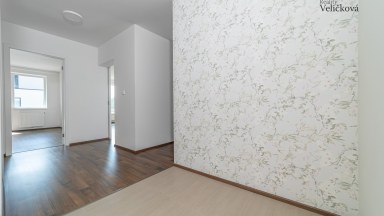Pronájem nádherného bytu 3+kk  v novostavbě s terasou v Hradci Králové - Farářství