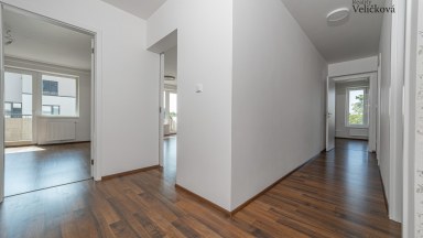 Pronájem nádherného bytu 3+kk  v novostavbě s terasou v Hradci Králové - Farářství
