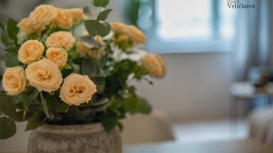 Prodej krásného zrekonstruovaného bytu 2+1 v centru Hradce Králové - Okružní ulice