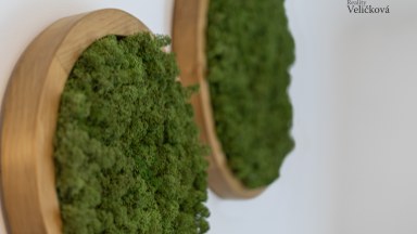 Prodej krásného zrekonstruovaného bytu 2+1 v centru Hradce Králové - Okružní ulice