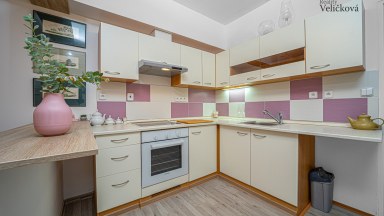 Prodej pěkných nebytových prostor - 33 m2 -  v Hradci Králové, Brožíkova ulice