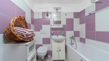 Prodej pěkných nebytových prostor - 33 m2 -  v Hradci Králové, Brožíkova ulice