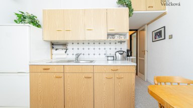 Prodej útulného bytu 2+1 v klidné lokalitě Hradce Králové - Medkova