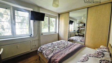 Pronájem pěkného bytu 3+kk v Hradci Králové - ulice Gagarinova