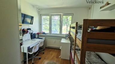 Pronájem pěkného bytu 3+kk v Hradci Králové - ulice Gagarinova